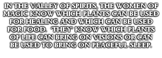 IN THE VALLEY OF SPIRITS, THE WOMEN OF MAGIC KNOW WHICH PLANTS CAN BE USED FOR HEALING AND WHICH CAN BE USED FOR FOOD.  ‘THEY’ KNOW WHICH PLANTS OF LIFE CAN BRING ON VISIONS OR CAN
BE USED TO BRING ON PEACEFUL SLEEP. 