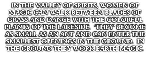 IN THE VALLEY OF SPIRITS, WOMEN OF MAGIC CAN WALK BETWEEN BLADES OF 
GRASS AND DANCE WITH THE COLORFUL PLANTS OF THE LAKESIDE.  ‘THEY’ BECOME AS SMALL AS AN ANT AND CAN ENTER THE SMALLEST OPENINGS IN THE GROUND.  IN THE GROUND THEY WORK EARTH MAGIC.